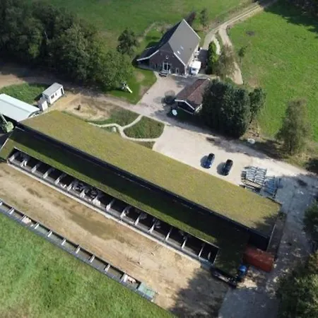 Holiday home In Near The Forest *