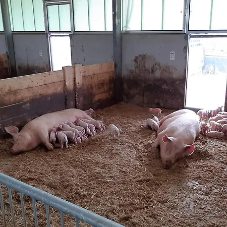 In Near The Forest Holiday home