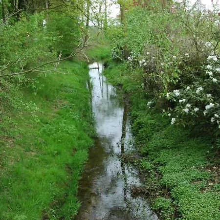 In Near The Forest בית נופש *