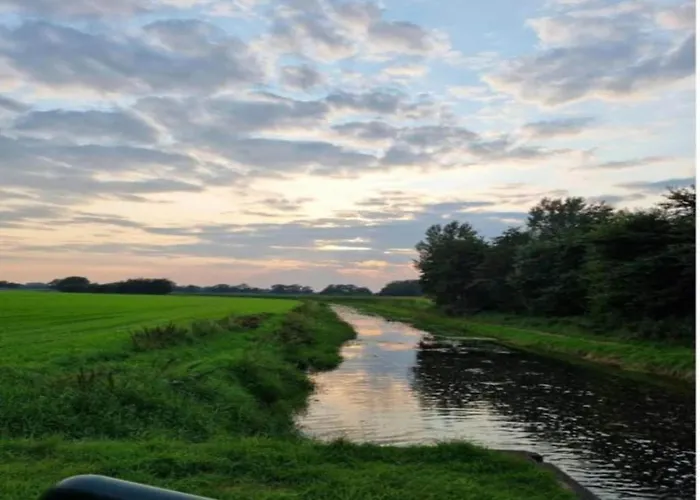 In Near The Forest * De Heurne