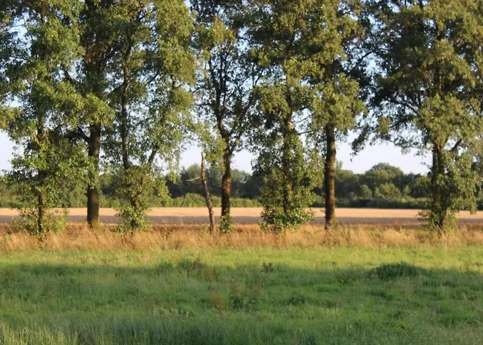 In Near The Forest De Heurne