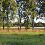 In Near The Forest *