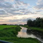 In Near The Forest * De Heurne