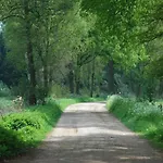 In Near The Forest *