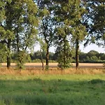 In Near The Forest De Heurne
