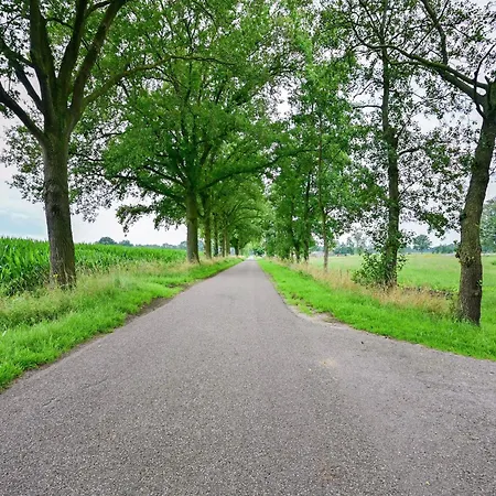 In Near The Forest 度假居