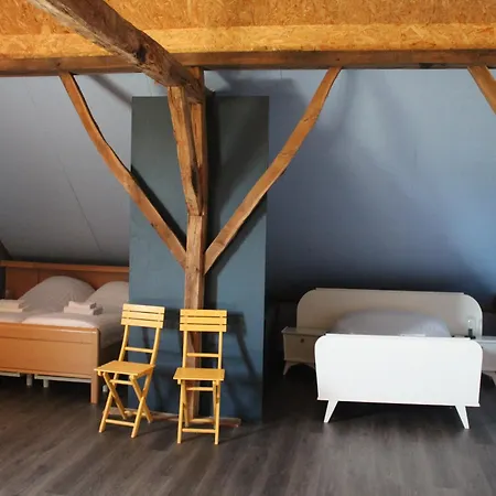 In Near The Forest *