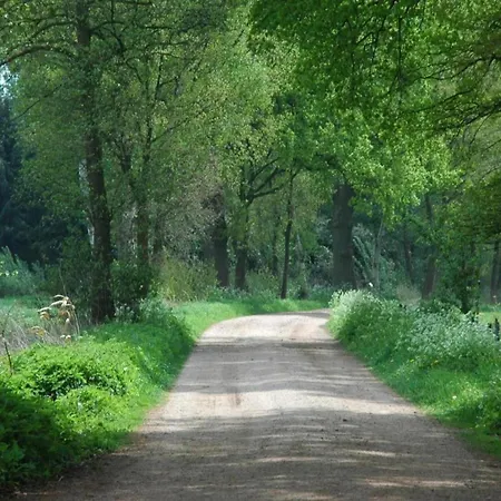 In Near The Forest *