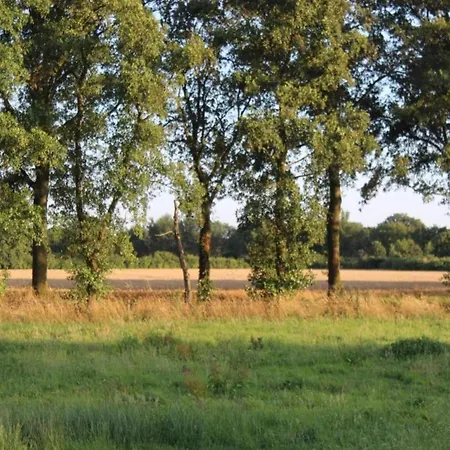 In Near The Forest De Heurne
