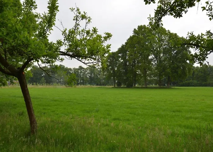 In Near The Forest Dom wakacyjny De Heurne