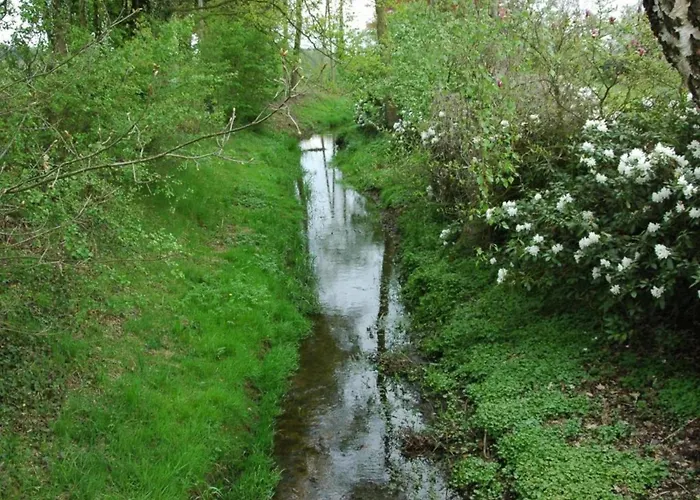 In Near The Forest Dom wakacyjny *