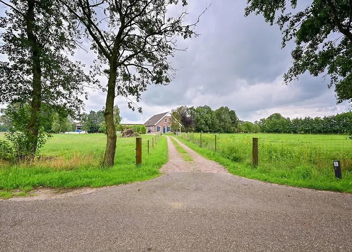 In Near The Forest Dom wakacyjny