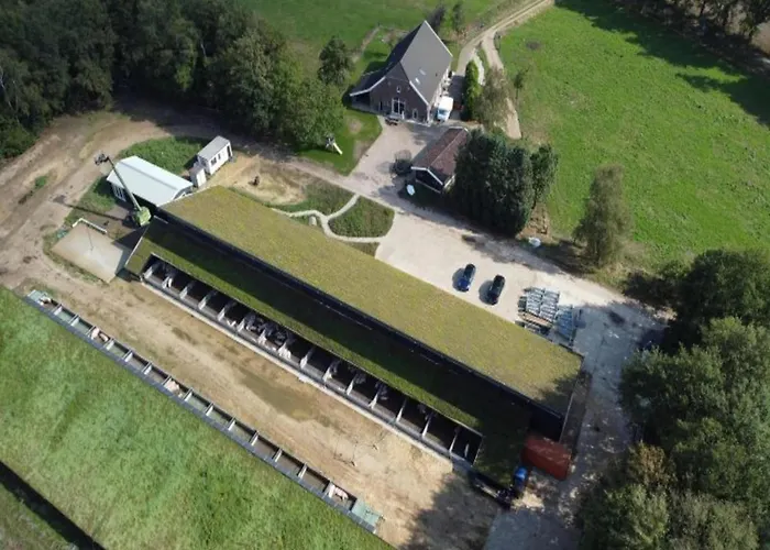 In Near The Forest Dom wakacyjny De Heurne